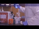 Invitrogen™ PureLink™ Expi Endotoxin-Free Maxi Plasmid Purification Kit