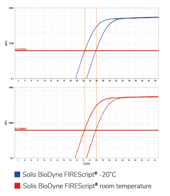 FIREScript® RT cDNA synthesis KIT