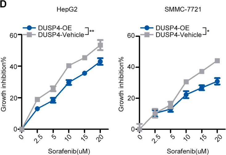 MCE Cell Counting Kit-8 (CCK-8)
