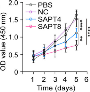 MCE Cell Counting Kit-8 (CCK-8)
