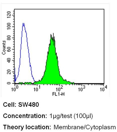 Invitrogen™ MUC2 Monoclonal Antibody (996/1), 500 µL 