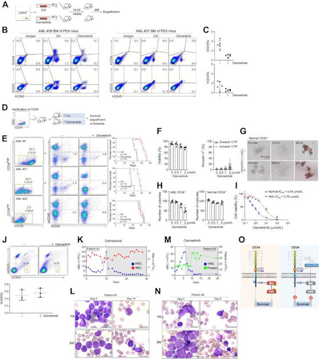 Invitrogen™ CD45 Monoclonal Antibody (30-F11), FITC, eBioscience™