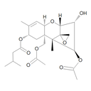 LGC T-2 Toxin, 100 µg/mL in Acetonitrile 1 mL