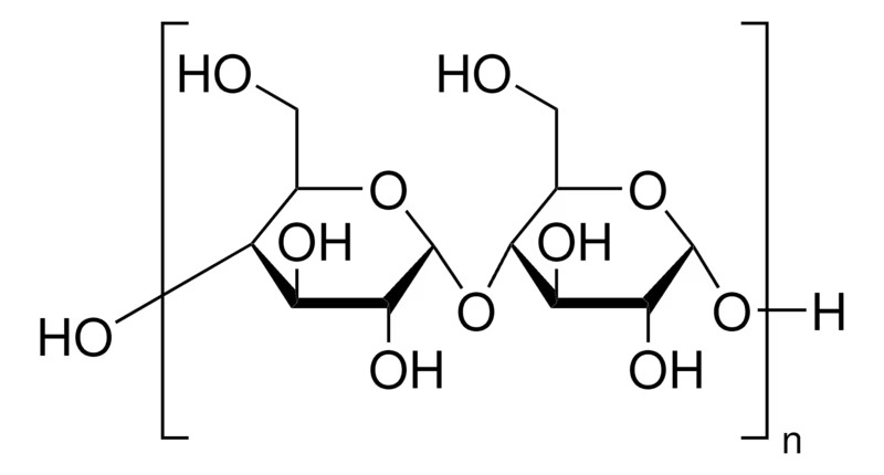 Sigma-Aldrich™ Starch from Corn, Practical Grade