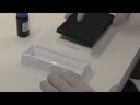Invitrogen™ Human TGF beta-1 ELISA Kit