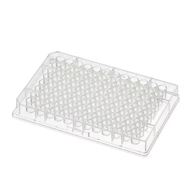 Thermo Scientific™ Pierce™ NeutrAvidin™ Coated High-Capacity Plates