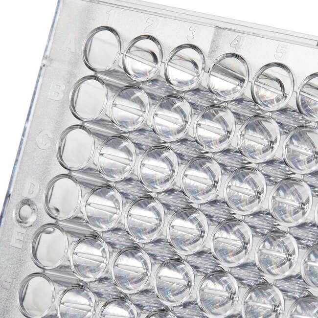 Thermo Scientific™ Plates with Covalent Binding Surfaces