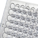 Thermo Scientific™ Plates with Covalent Binding Surfaces
