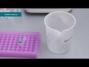 Thermo Scientific™ Pierce™ HeLa Protein Digest Standard