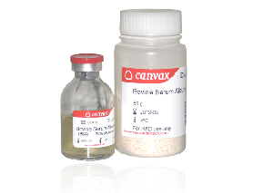 Canvax Bovine Serum Albumin (BSA)