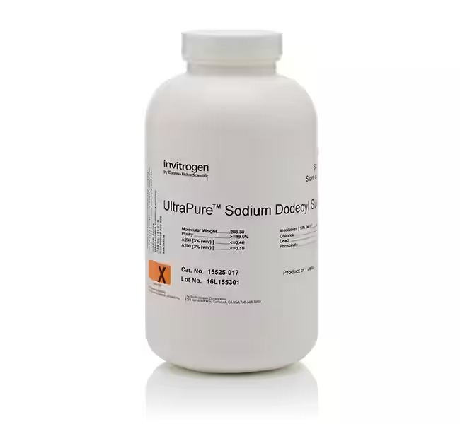 Invitrogen™ UltraPure™ Sodium Dodecyl Sulfate (SDS)