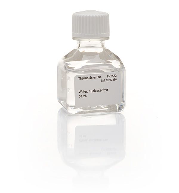 Thermo Scientific™ Water, nuclease-free