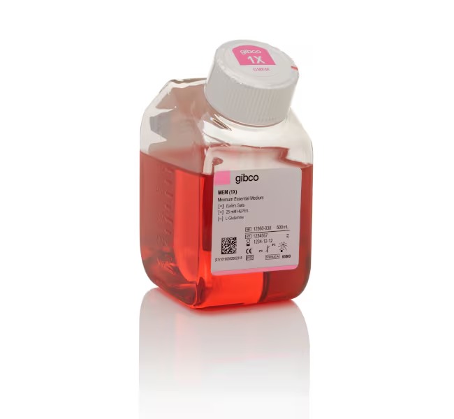 Gibco™ MEM (Minimum Essential Medium), with HEPES, without Glutamine