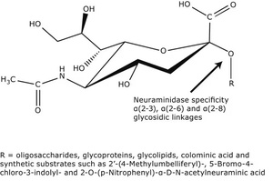 Sigma Aldrich, Neuraminidase from Vibrio cholerae, 1 UNIT