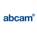 Abcam Protein A/G Magnetic Beads, 1mL