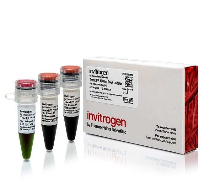 Invitrogen™ TrackIt™ 100 bp DNA Ladder, 50 µg with  6X Loading Buffer