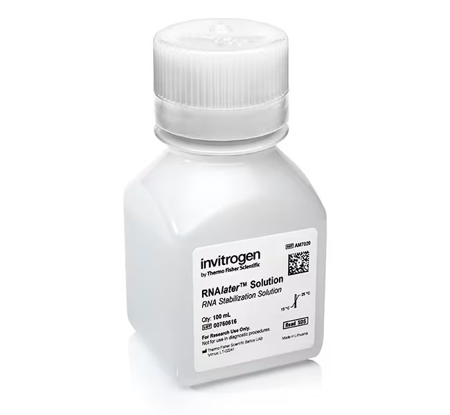 Invitrogen™ Rnalater™ Stabilization Solution, 500Ml