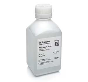 Invitrogen™ RNAlater™ Stabilization Solution