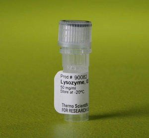 Thermo Scientific™ Lysozyme Solution (50 mg/mL), 0.5 mL