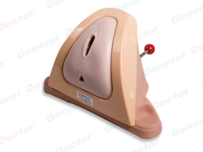 GD Episiotomy Incision and Suturing Training Simulator
