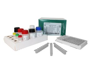 Vircell LEPTOSPIRA IgM ELISA Kit