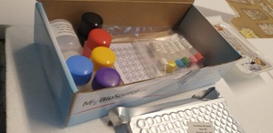 Human Aflatoxin Albumin Adduct (AFT-HSA) ELISA Kit