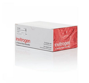 Invitrogen™ Ni-NTA Purification System with Anti-His (C-term)-HRP Antibody