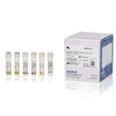Applied Biosystems™ VetMAX™ African Swine Fever Virus Detection Kit 2.0