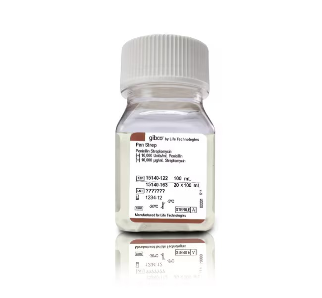 Gibco™ Penicillin-Streptomycin (10,000 U/mL)