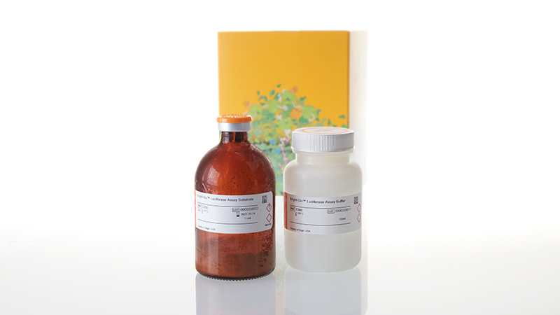 Bright-Glo™ Luciferase Assay System