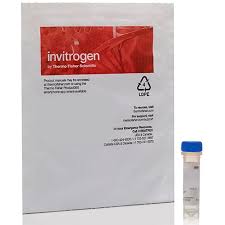 Invitrogen™ Fetal Hemoglobin Monoclonal Antibody (HBF-1), APC, 500 µL
