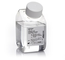 Invitrogen™ UltraPure™ DNase/RNase-Free Distilled Water