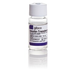 Gibco™ Insulin-Transferrin-Selenium-Ethanolamine (ITS -X) (100X), Sterile