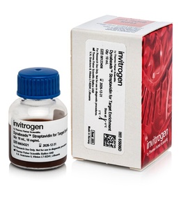 Invitrogen™ Dynabeads™ Streptavidin for Target Enrichment