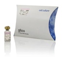 Gibco™ Human FGF-basic (FGF-2/bFGF) (154 aa) Recombinant Protein, PeproTech®