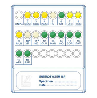 Liofilchem™ Enterosystem 18R