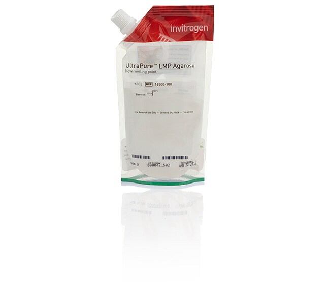 Invitrogen™ UltraPure™ Low Melting Point Agarose