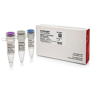 Invitrogen™ Platinum™ II Taq Hot-Start DNA Polymerase