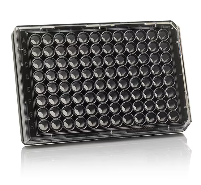 Thermo Scientific™ 96 Well Black/Clear Bottom Plate, Collagen I Coated Surface