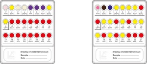 Liofilchem® Integral System Streptococchi