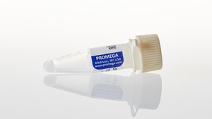 Promega dNTP Mix 10mM