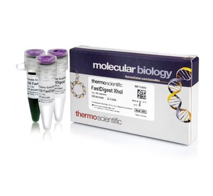 Thermo Scientific™ FastDigest XhoI