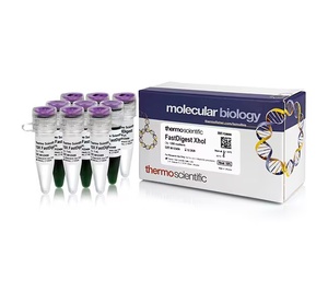 Thermo Scientific™ FastDigest XhoI