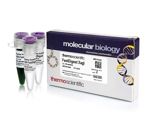 [FD1304] Thermo Scientific™ FastDigest™ XagI, 100 μL (100 Reactions)