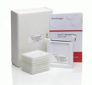 Invitrogen™ XCell II™ Blot Module