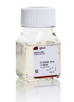 Gibco™ Gentamicin (10 mg/mL)