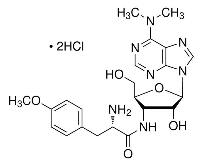 Thermo Scientific™ Puromycin dihydrochloride, 98%