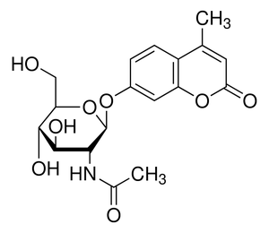 Appolo Sci. 4-Methylumbelliferyl-2-acetamido-2-deoxy-β-D-glucopyranoside