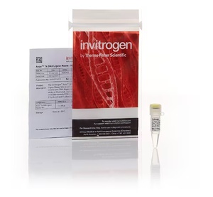 Invitrogen™ Anza™ T4 DNA Ligase Master Mix