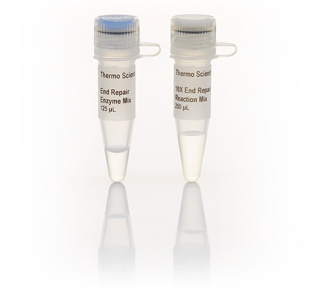 Thermo Scientific™ Fast DNA End Repair Kit, 50 Rxns
